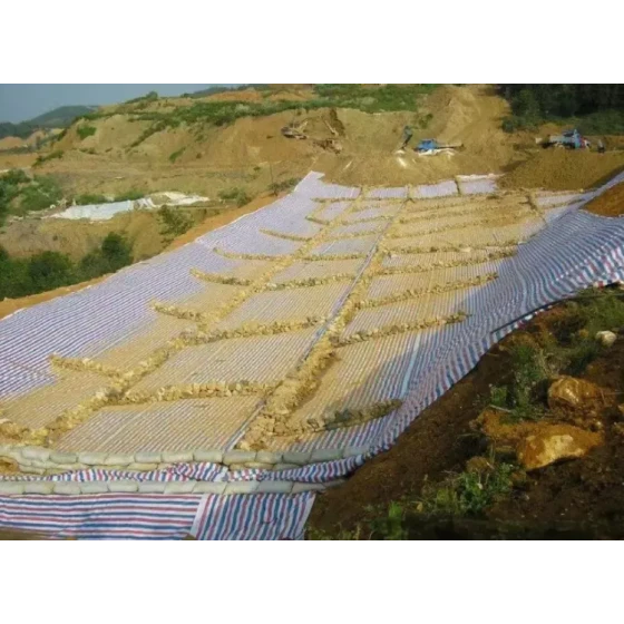 金矿无毒浸出试验