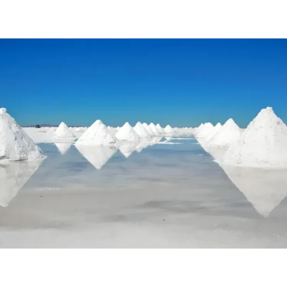 盐湖锂资源浮选提锂试验