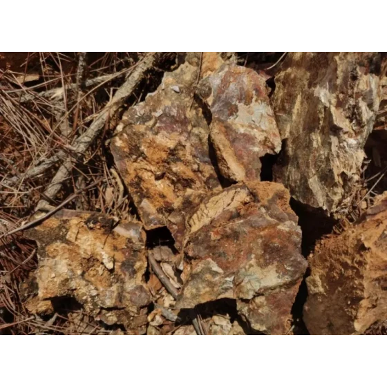 氧化金矿加工试验