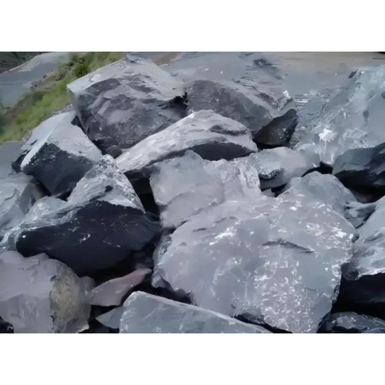 含碳金尾矿回收试验