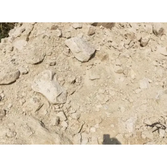 低品位锂渣提锂试验