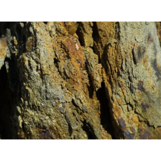 氰化浸出提金试验