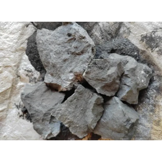 高硫金矿选矿试验