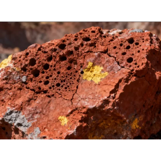 红土镍矿选冶联合试验