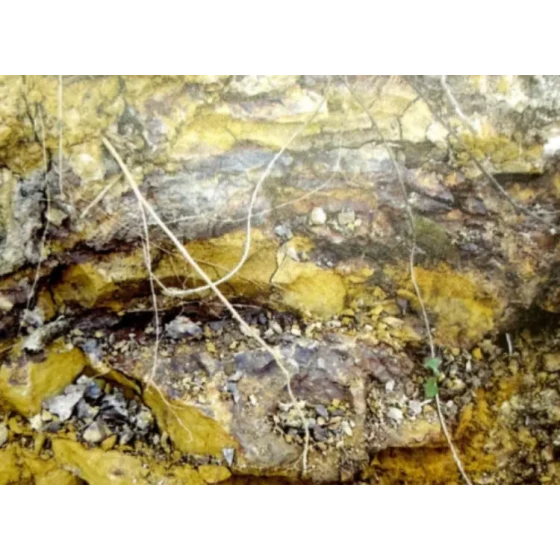 难选共生矿浸出工艺试验