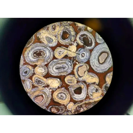 鲕状赤铁矿脱磷脱硅试验