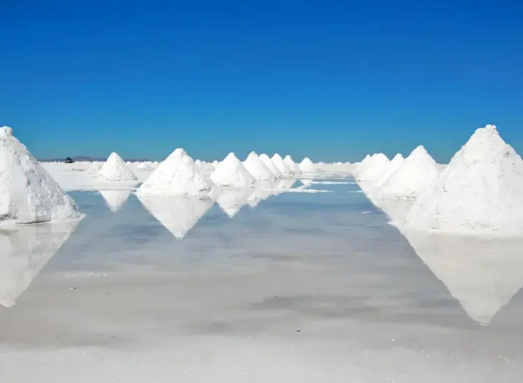 盐湖锂资源浮选提锂试验