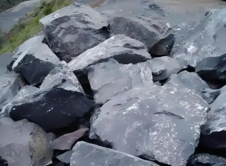 含碳金尾矿回收试验