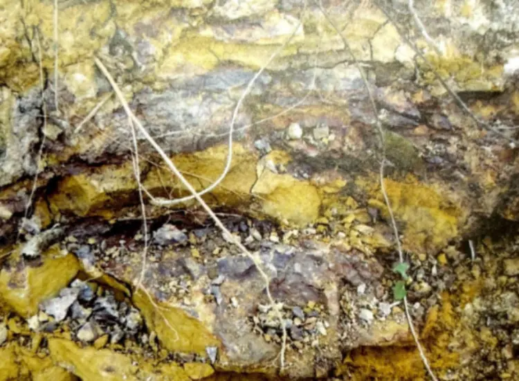 难选共生矿浸出工艺试验