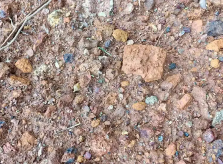 氧化铅锌矿选矿试验