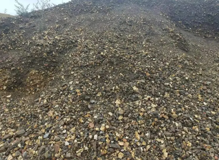 氧化金尾矿回收试验